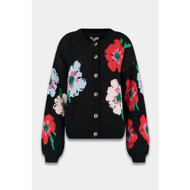 Harper & Yve Dw25w810 vest jazz DW25W810 Vest Jazz large