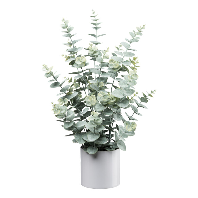 Kopu ® kunstplant eucalyptus 66 cm in pot groen/ blad 3257267 large
