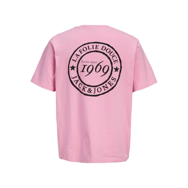 Jack & Jones Jorfolie haze tee ss crew neck 12290689 large