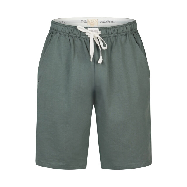 Phil & Co Heren shortama korte pyjama set groen gestreept PH-6117-02 large Phil & Co Heren shortama korte pyjama set groen gestreept PH-6117-02 large