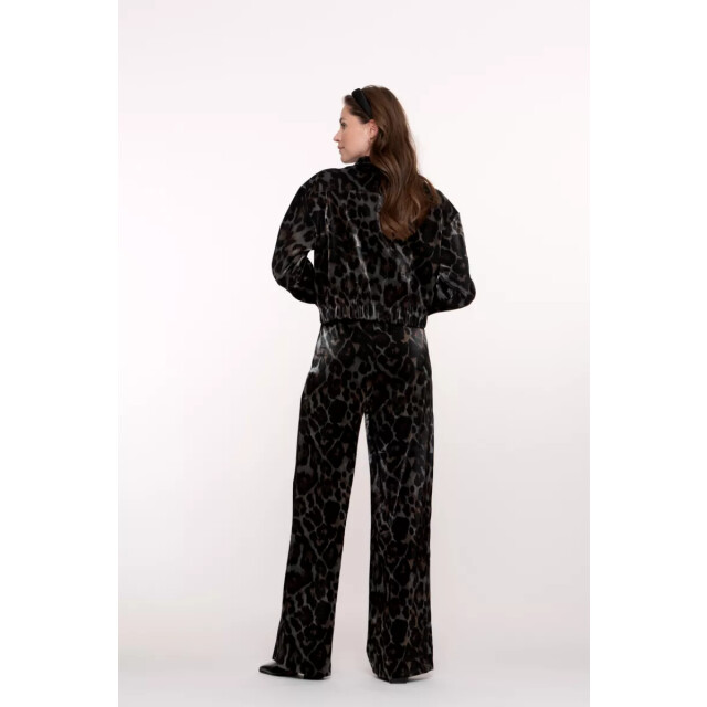 Geisha Shiny jacket 55723-20 55723-30 large