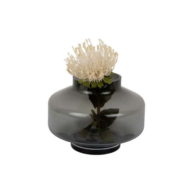 Present Time vaas pasmoso donker 3259655 large