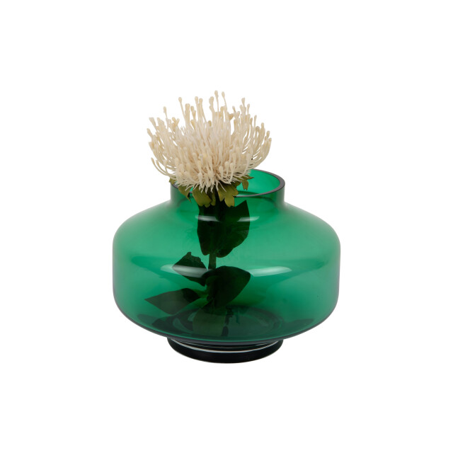 Present Time vaas pasmoso - 3259654 large