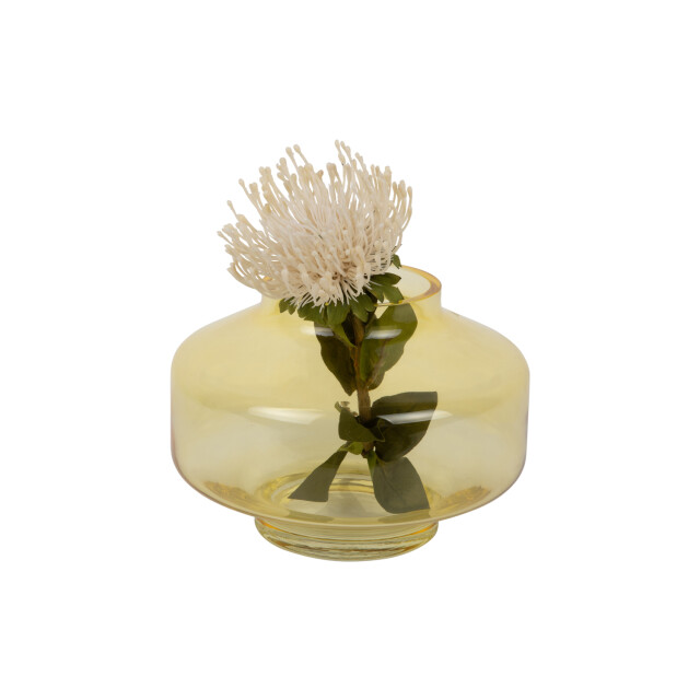 Present Time vaas pasmoso mango yellow 3259656 large