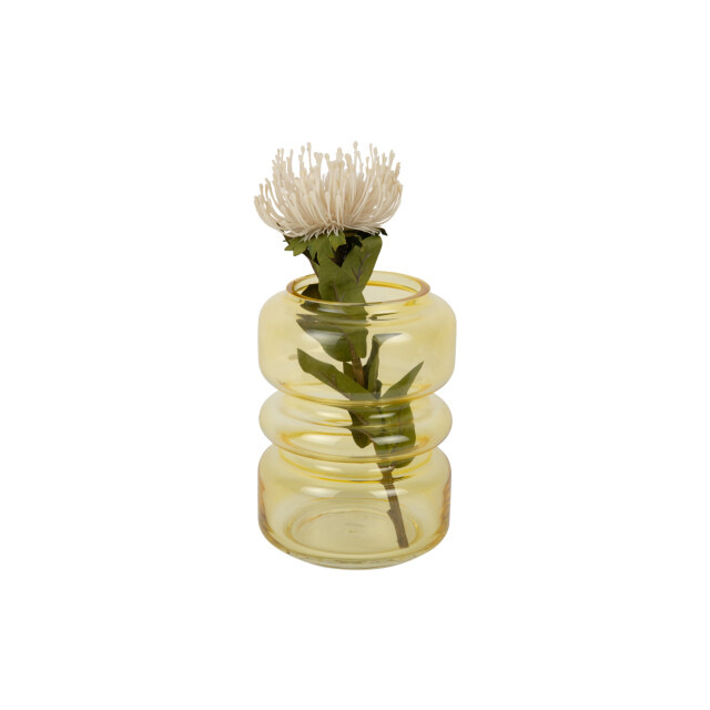 Present Time vaas maravillo mango yellow 3259659 large