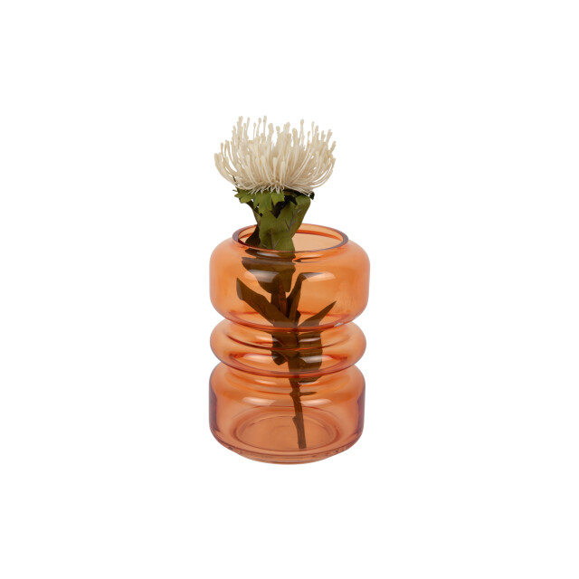 Present Time vaas maravillo helder 3259658 large