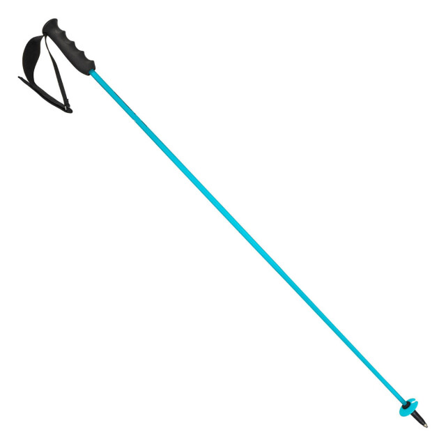 Head worldcup rebels carbon skistokken heren - 071370_200-115 large