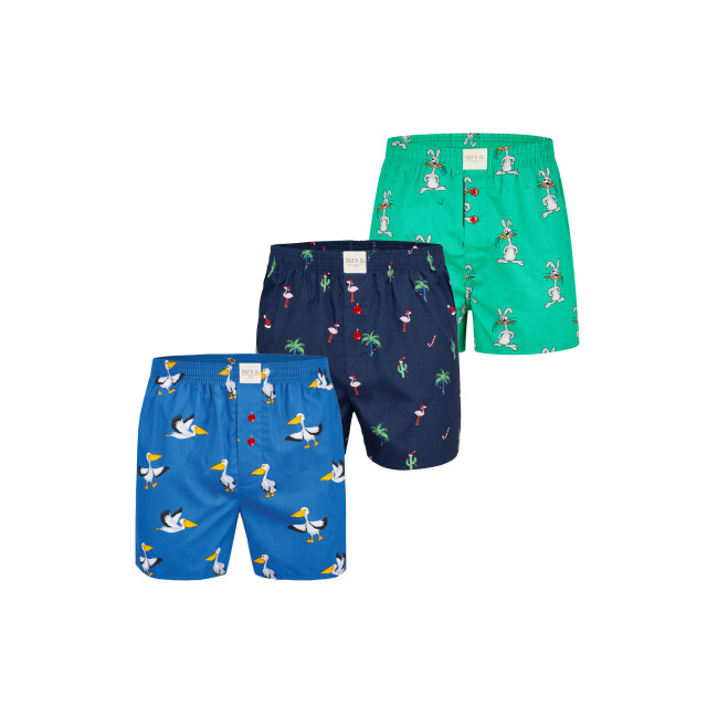 Phil & Co Wijde boxershorts heren met print 3-pack PH-FUN-2 large