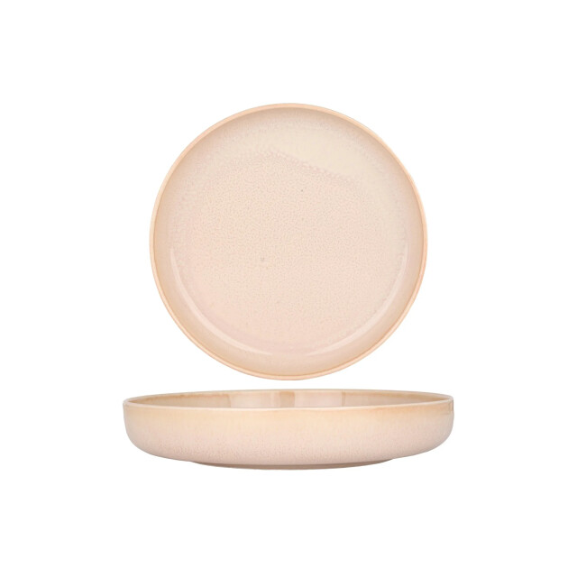 Rinart Diepbord mira porselein 26 cm (2000cc) set van 6 3195895 large