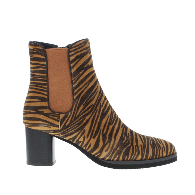 Di Lauro Jet dames enkellaars | dames | | maat: | suede 102761 large
