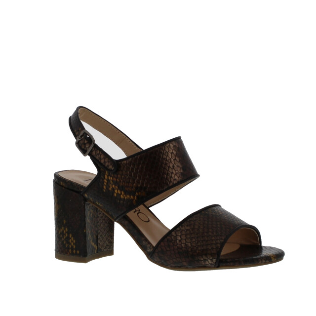 Di Lauro Helenoor dames sandaal | dames | | maat: 101696 large