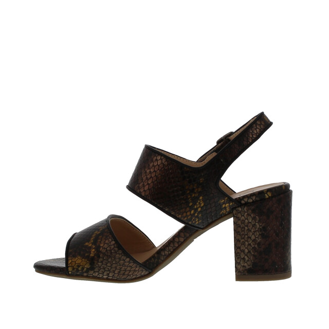 Di Lauro Helenoor dames sandaal | dames | | maat: 101696 large