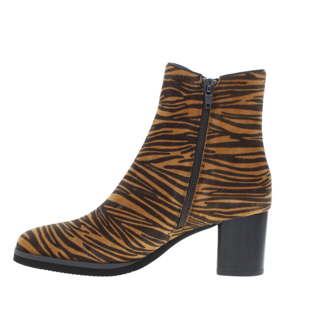 Di Lauro Jet dames enkellaars | dames | | maat: | suede 102761 large