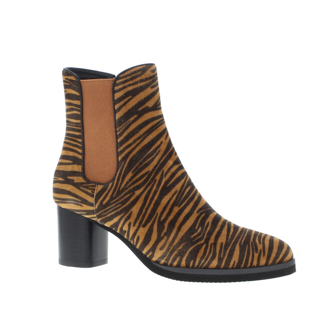 Di Lauro Jet dames enkellaars | dames | | maat: | suede 102761 large