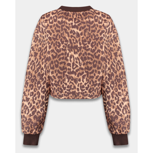 Harper & Yve Sweat dw25p512 darcy Harper & Yve Sweat DW25P512 DARCY large