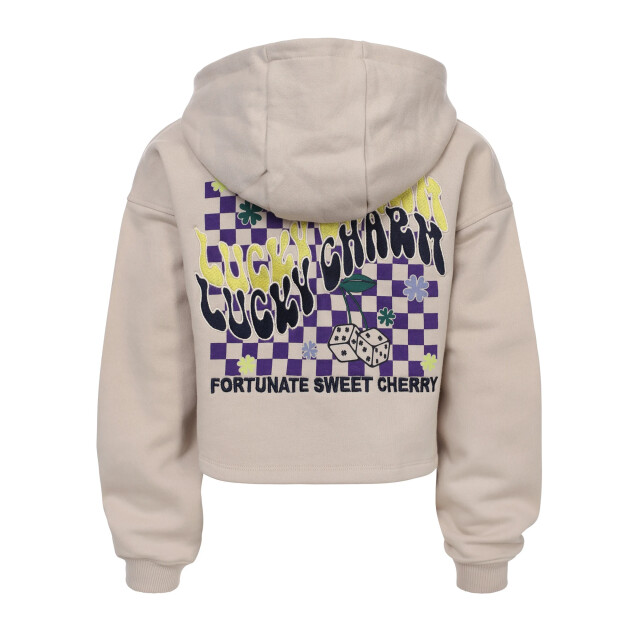 Looxs Revolution Hoody dust back print voor meisjes in de kleur 2531-5303-041 large
