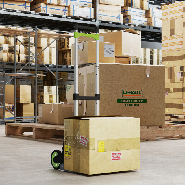 4goodz Vouwbare steekwagen aluminium tot 100cm 3404375 large