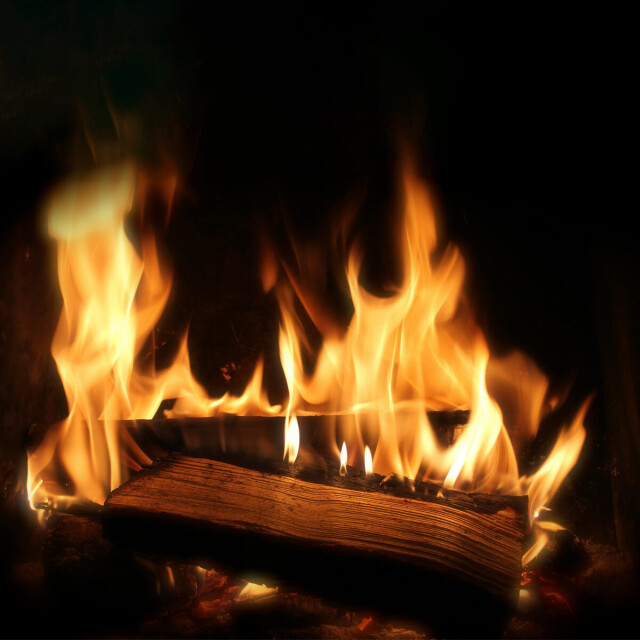 WDMT Ovengedroogd eiken haardhout | premium kwaliteit | 10kg 3406477 large