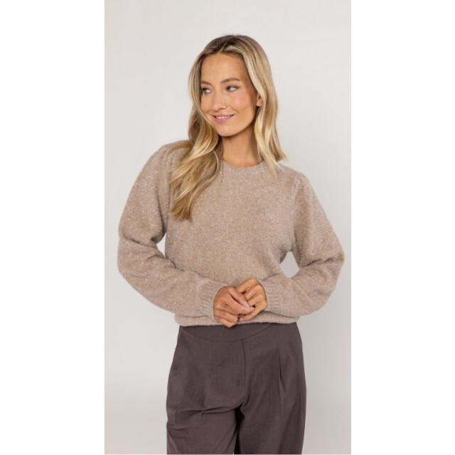 Poools Pull over shiny 533232- 533232-taupe large