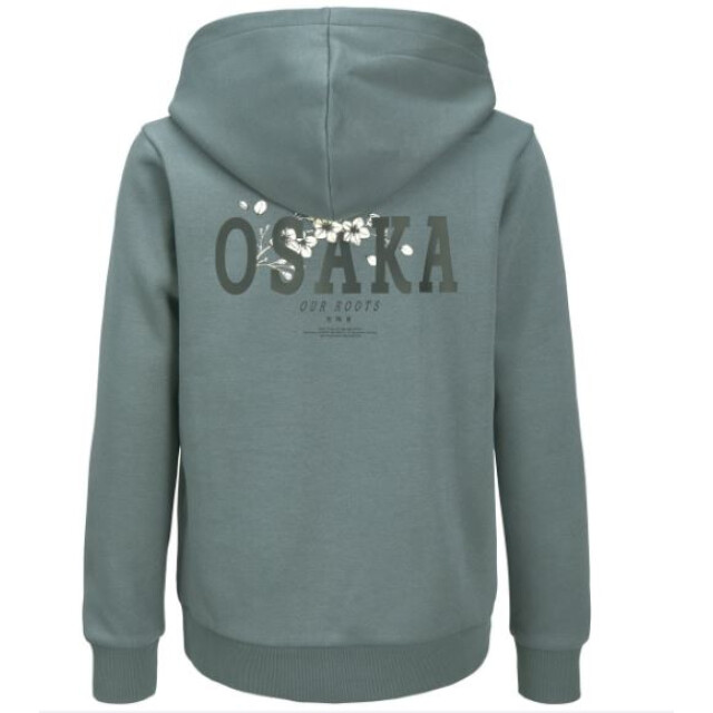 Jack & Jones Jjkenji sweat hood 12278637 large