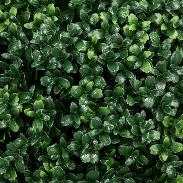 4goodz Kunstmatige buxusboom 2 stuks realistisch & weerbestendig onderhoudsvrij - 3415049 large