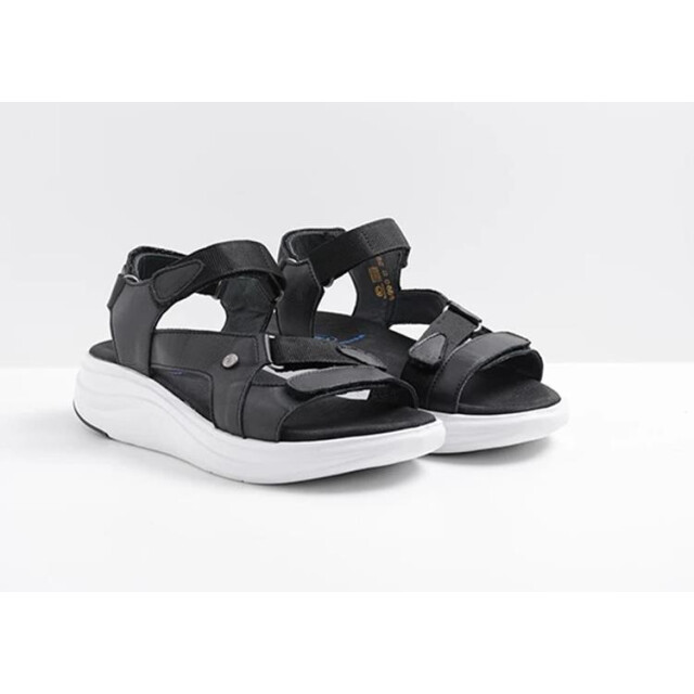 Wolky Wolky 05650 Cirro Sandalen Zwart Wolky 05650 Cirro large