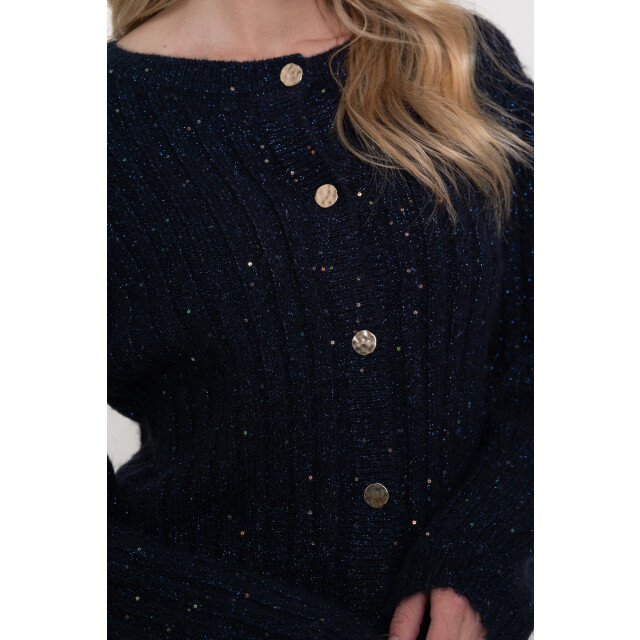 Geisha cardigan lurex & sequinces 54853-14 675 06741.261.0033 large