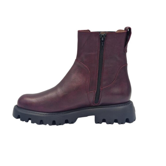 Wonders C7511 C7511 large