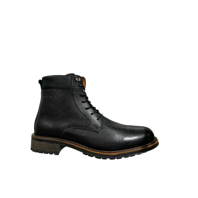 Van Lier 2455911 690 2455911 690 large