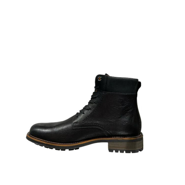 Van Lier 2455911 690 2455911 690 large