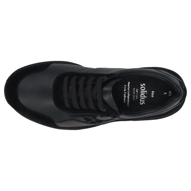 Solidus 66034 kea 66034 Kea large