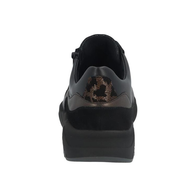 Solidus 66034 kea 66034 Kea large