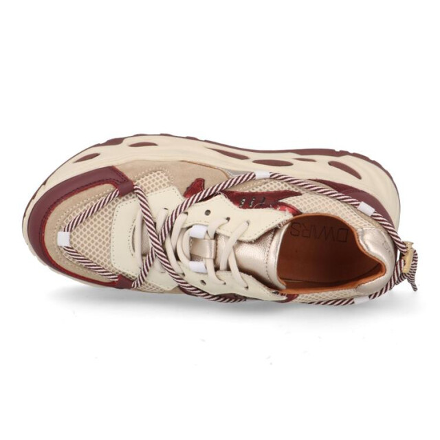 DWRS Label Saturnus Saturnus large