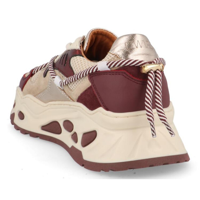 DWRS Label Saturnus Saturnus large