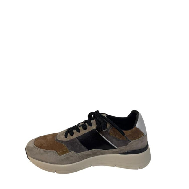 Greve 3289.01 3289.01 large