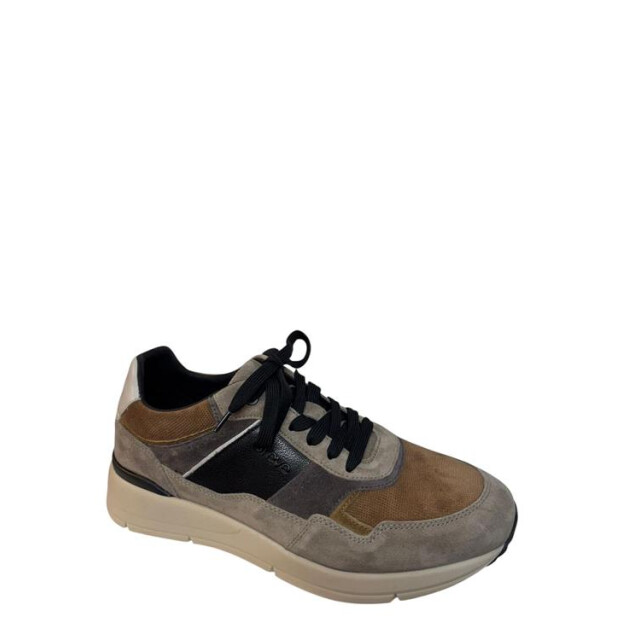 Greve 3289.01 3289.01 large