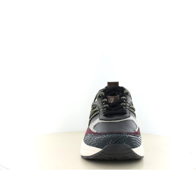 PS Poelman Lpcharu LPCharu large