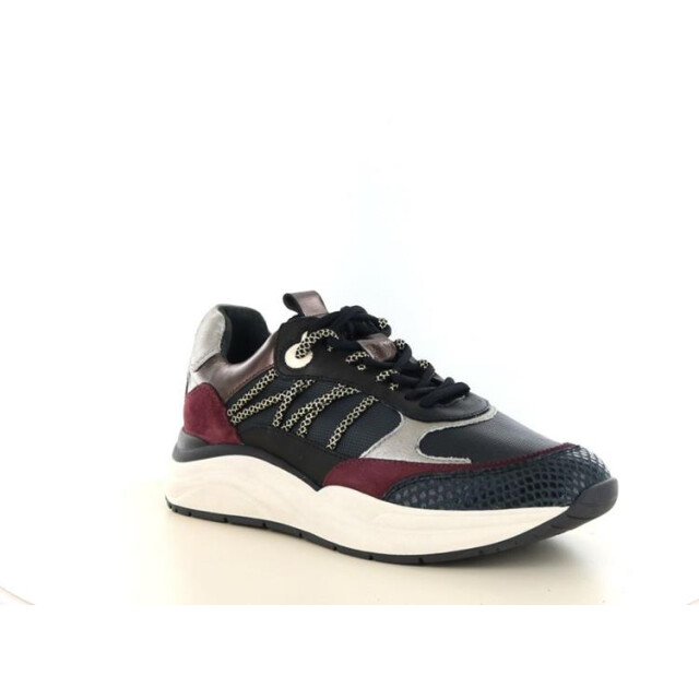 PS Poelman Lpcharu LPCharu large