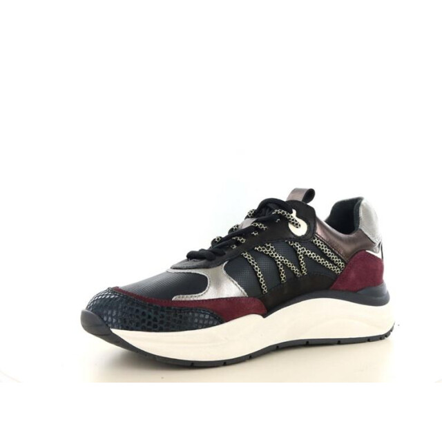 PS Poelman Lpcharu LPCharu large