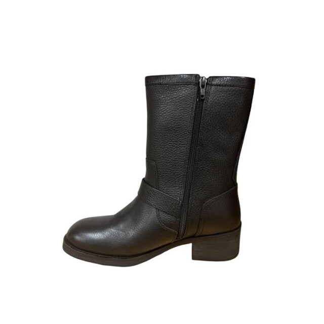 PS Poelman Lpellis-02poe1 LPELLIS-02POE1 large