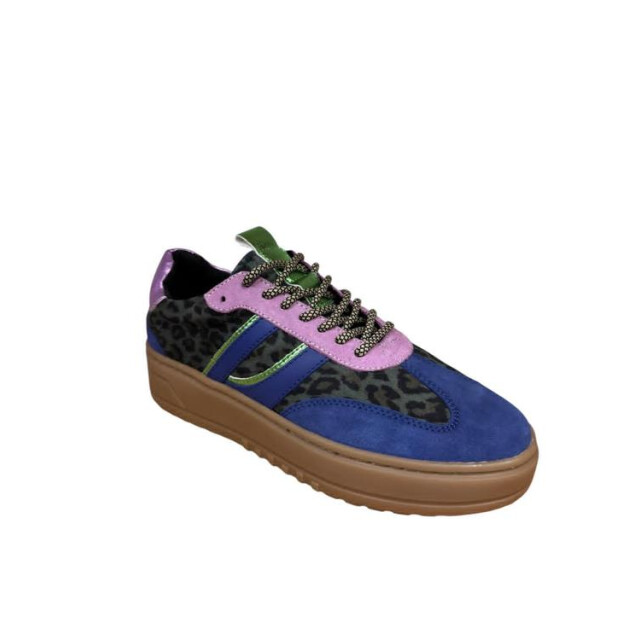 PS Poelman Lpanemone-29poe2 LPANEMONE-29POE2 large