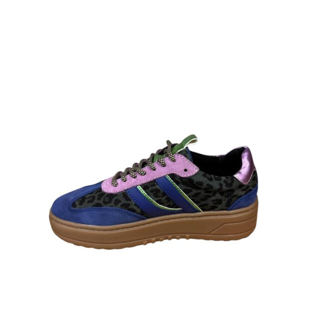 PS Poelman Lpanemone-29poe2 LPANEMONE-29POE2 large