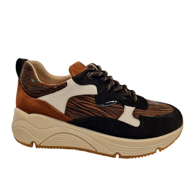 Bridge 24257204 24257204 large