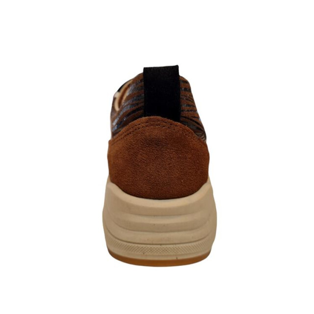 Bridge 24257204 24257204 large