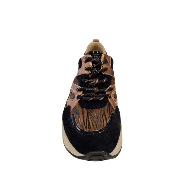 Bridge 24257209 24257209 large