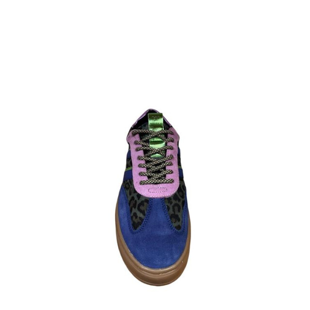 PS Poelman Lpanemone-29poe2 LPANEMONE-29POE2 large