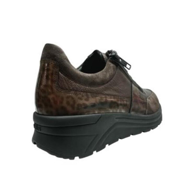 Solidus 46022 holly 022 46022 Holly large