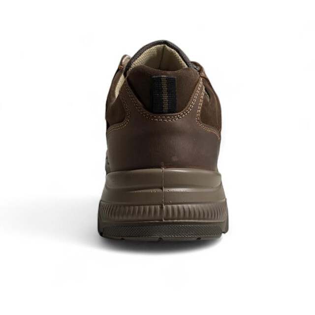 Ara 11-38505 renzo 11-38505 Renzo large