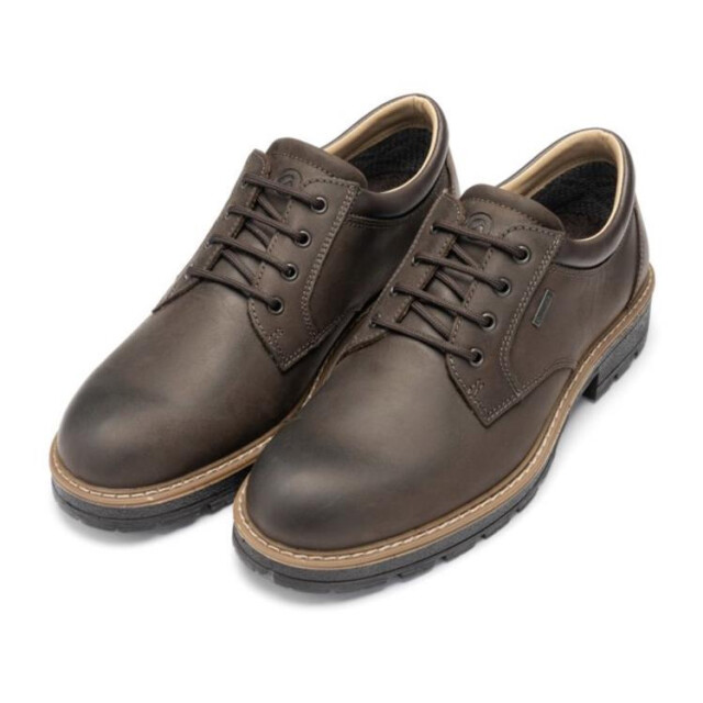 Ara 11-23656 frederik 11-23656 Frederik large