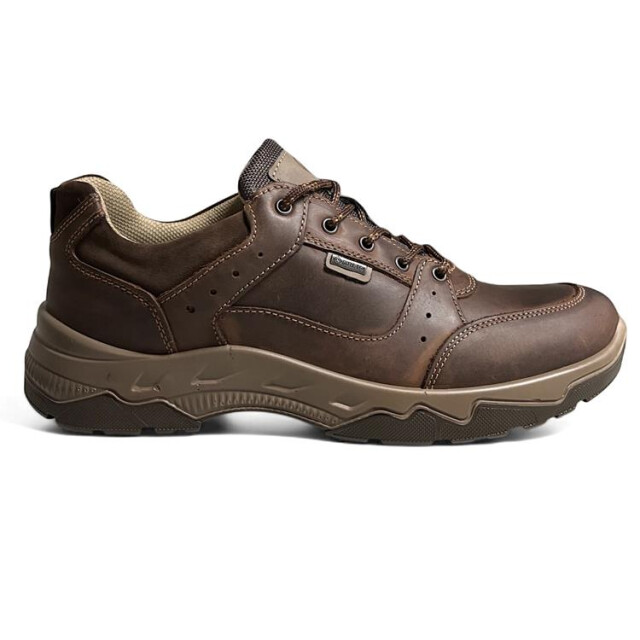 Ara 11-38505 renzo 11-38505 Renzo large